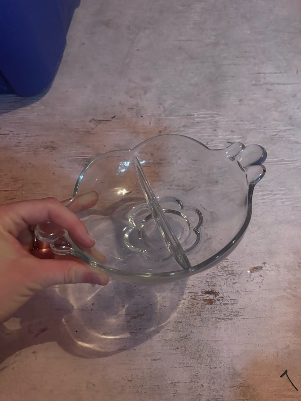 Clear Glass Divided Serving Bowl - Elegant Home Dining